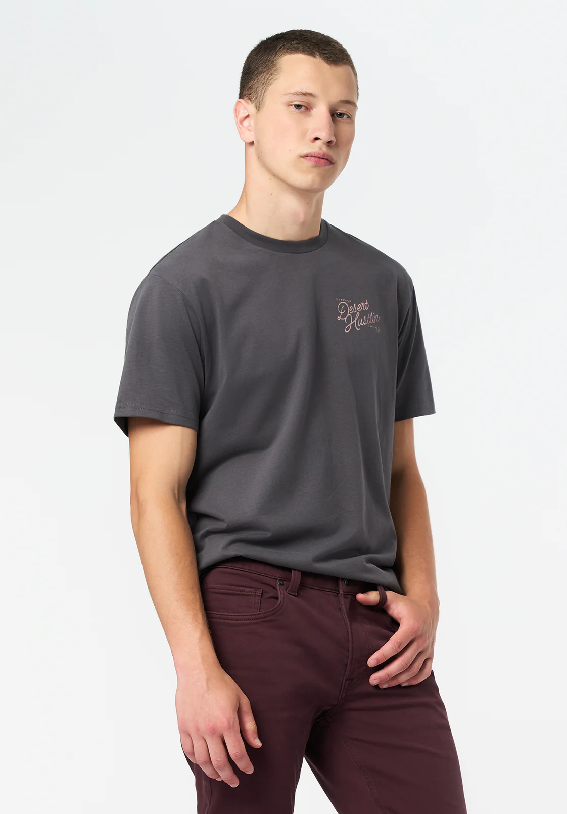 Tavian Men's Graphic T-Shirt with Desert Hustlin Print, Gray Pinstripe - BM24711