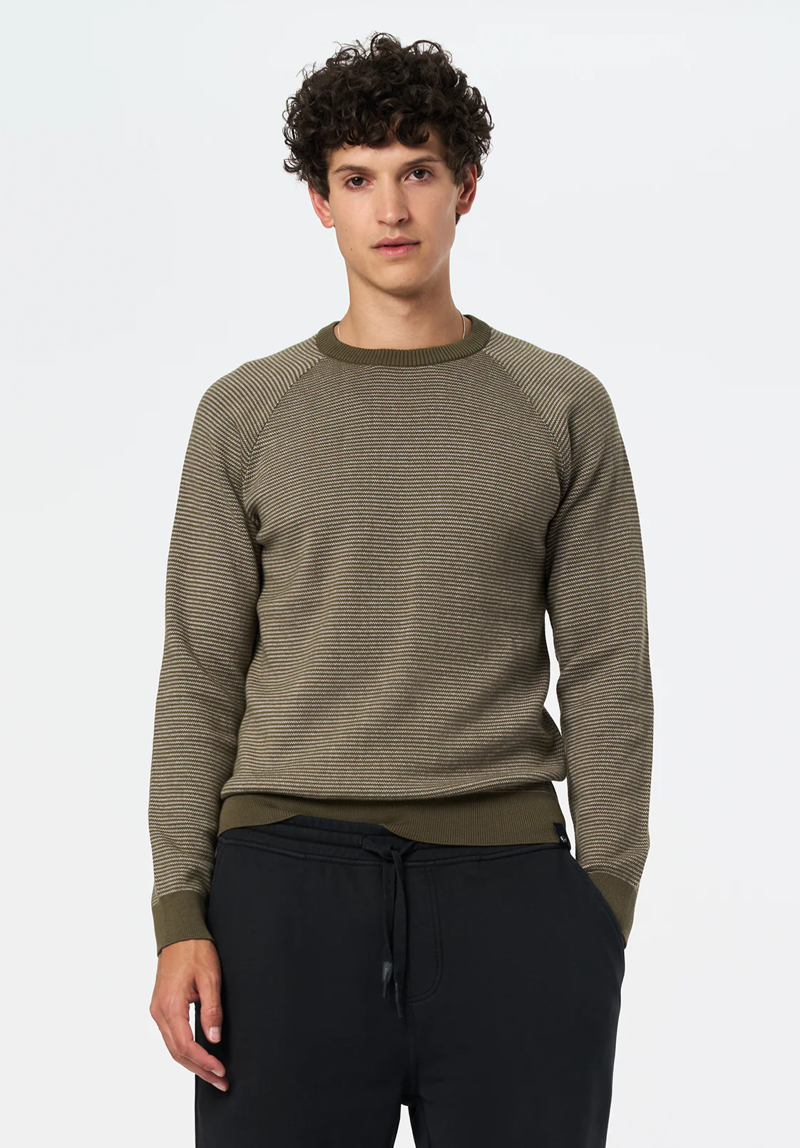 Watford Men's Crew Neck Sweater, Fern - BM24684